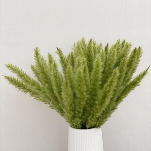 以下が含まれることがあります： 白いリブ付きの花瓶に、鮮やかな緑色のドライグラスが活けられています。 草の羽のような質感は、花瓶の滑らかで垂直なラインと対照的で、シンプルでありながらエレガントなディスプレイを作り出しています。 背景はプレーンな白い壁です。