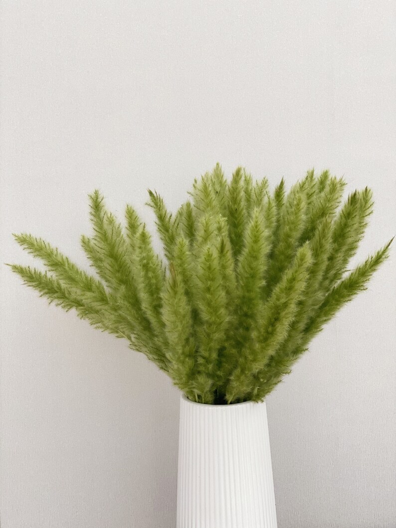 以下が含まれることがあります： 白いリブ付きの花瓶に、鮮やかな緑色のドライグラスが活けられています。 草の羽のような質感は、花瓶の滑らかで垂直なラインと対照的で、シンプルでありながらエレガントなディスプレイを作り出しています。 背景はプレーンな白い壁です。