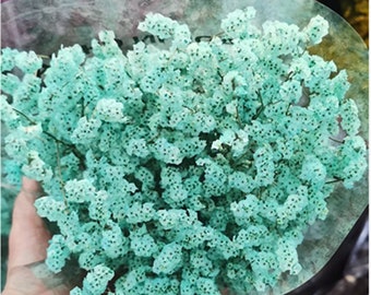 May include: A bouquet of dried baby's breath flowers dyed a vibrant teal color. The delicate blooms are clustered together, creating a full and textured appearance. The flowers are wrapped in clear cellophane, with other bouquets in the background.