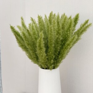 以下が含まれることがあります： 白いリブ付きの花瓶に入った、緑色のドライパンパスグラスのブーケ。花瓶は背が高く円筒形で、垂直線があります。パンパスグラスは羽のような質感で、鮮やかな緑色をしており、自然で装飾的なアレンジメントを作り出しています。
