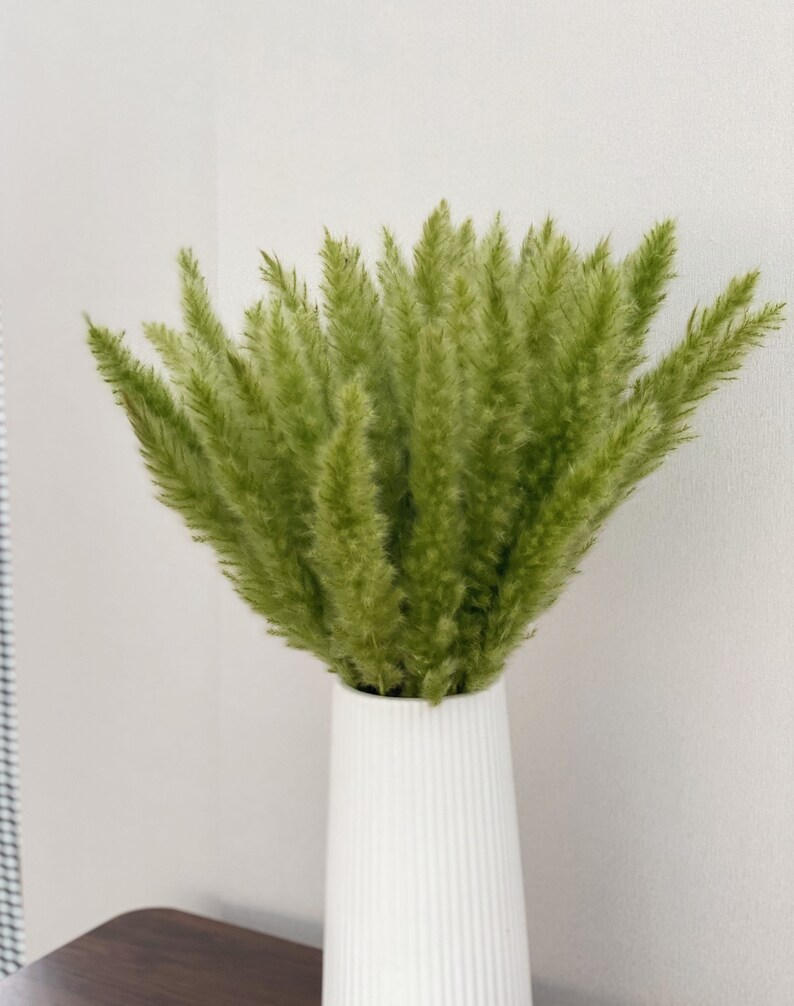 以下が含まれることがあります： 白いリブ付きの花瓶に入った、緑色のドライパンパスグラスのブーケ。花瓶は背が高く円筒形で、垂直線があります。パンパスグラスは羽のような質感で、鮮やかな緑色をしており、自然で装飾的なアレンジメントを作り出しています。