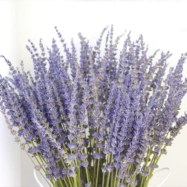 250-300 stems/bundle, lavender, high-quality dried flowers, purple lavender, wedding decoration, home decoration dried flowers