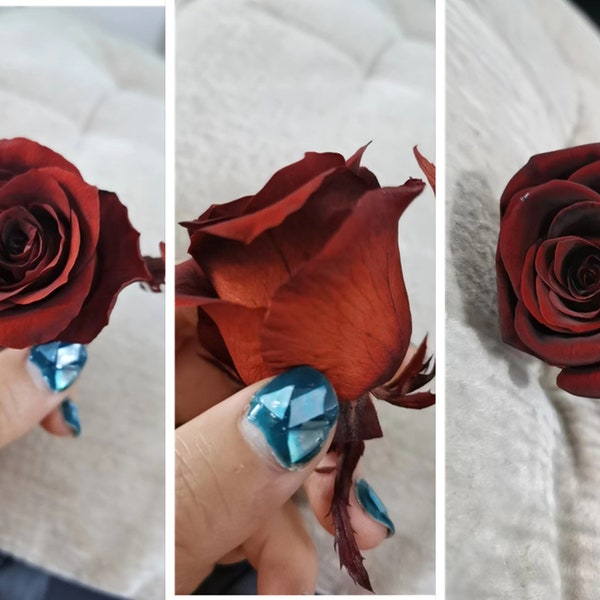 Customizable! Preserved Roses ,Burnt Orange ,Burgundy，Eternity Roses ,Forever Roses,DIY Bridal bouqet，wedding arrangement