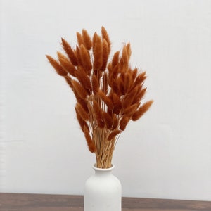 60X Terracotta/Terracotta Wedding Decor/PAMPAS GRASS/Terracotta ColoredDried Flowers/Dried Pampas Grass/Wedding Decor/Tall Vase/Centerpieces