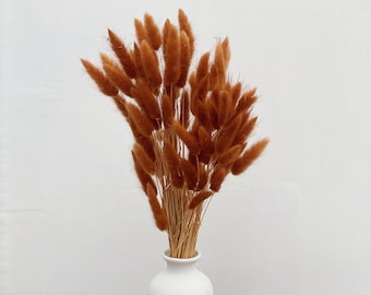 60x Terracotta/Terracotta Hochzeitsdekor/PAMPAS GRAS/Terracotta BuntDried Blumen/Getrocknete Pampas Gras/Hochzeitsdekor/Große Vase/Centerpieces