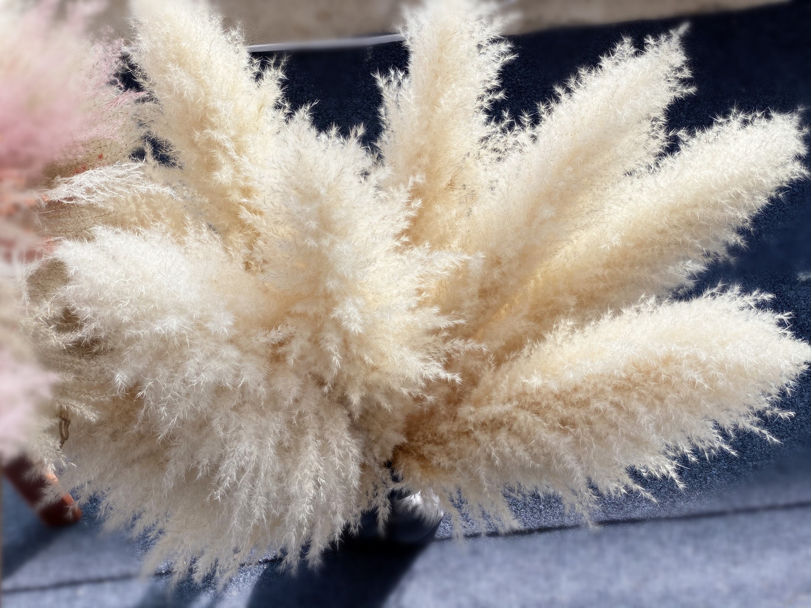 Natural pampas grass 3-10Pcs,dry lower arrangement, wedding,