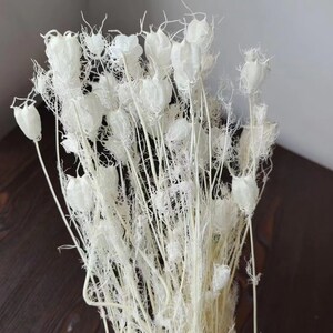 Albion Black Pod,white dried flower bouquet