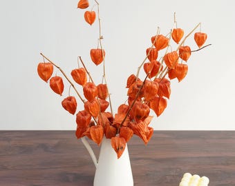 May include: A white ceramic pitcher filled with dried orange physalis stems featuring papery husks. Beside the pitcher sits a small, pale yellow, cube-shaped bubble candle with a grid-like texture, all arranged on a dark brown wood-grain surface.
