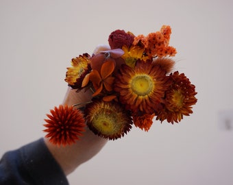 Burnt orange & Blush Dried Flowers Hair Pins Set, Boho Hair Pins, Wedding Hair Pins, Flower Pin Set