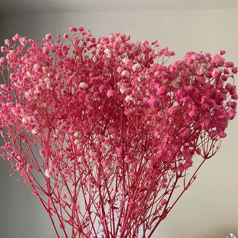 Natural Baby's Breath Flower Gypsophila Bouquet Home Etsy