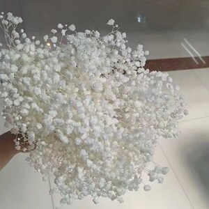 White Preserved-Dried Baby's Breath Flowers , Ivory, Off-White wedding, floral, bouquet, decor, arrangement,gypsophila,gift image 10
