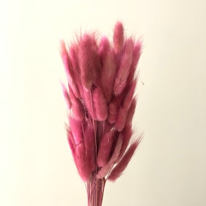 About 60 red high-quality natural dried flowers, bouquets, flower arrangements, stalks of lago-tail