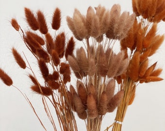 Dried Pampas Grass Flower Arrangements Wedding Home Decor RAILONCH 60pcs Natural Dried Lagurus ovatus Black Dried Pampas Grass Flower Arrangements Wedding Home Decor RAILONCH 60pcs Natural Dried Lagurus ovatus Black