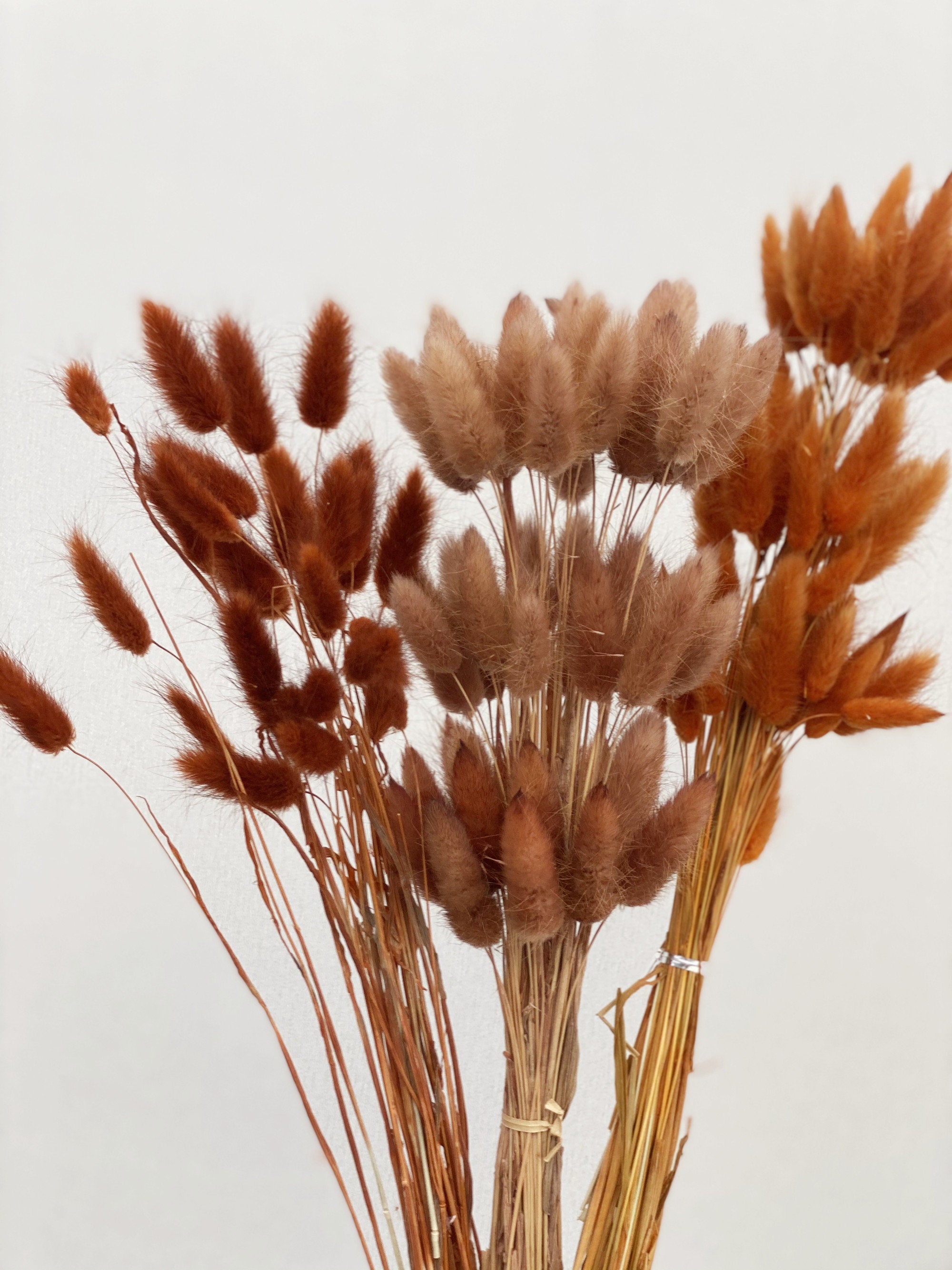 Bunch of dried flowers Phalaris blue by LALOVLIY Magdeburg