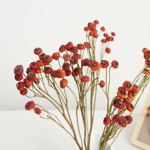 Orange Berry Branch Stem  Dried Rose Fruits bunch natural red rose fruits