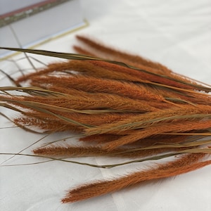 Rust, Terracotta ,Seteria Bundle,Dried Flower Bouquet