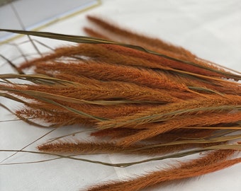 May include: A close-up of dried orange ornamental grass, with long, slender stems and feathery seed heads. The grass is arranged against a white, textured background. The image suggests a natural, rustic aesthetic, suitable for home decor or crafting.