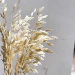 Cream Preserved Dried Flowers, Dried Flower Bouquet