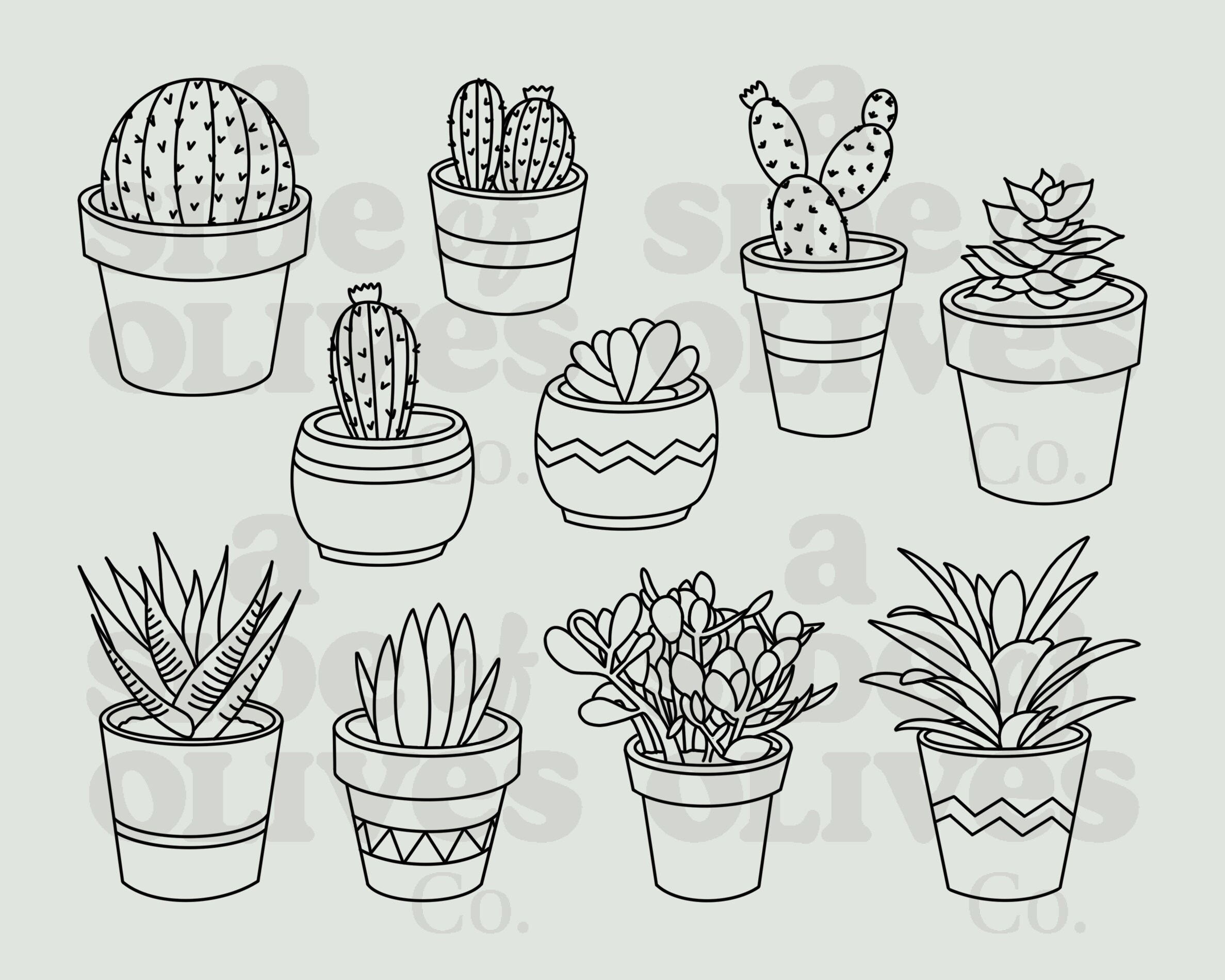 Image result for potted cactus drawing