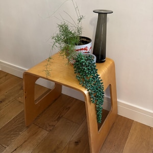 May include: A light wood, curved-top stool with cut-out sides supports a small potted plant with green foliage, a small succulent plant, and a tall, dark grey vase. The stool sits on a wood floor.