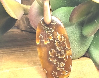 Ammonite Fossil Necklace