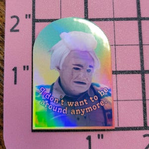 ITYSL Tim Robinson Sticker: Handmade Water-Resistant Laptop Decal, dishwasher safe Karl Havoc