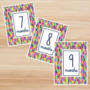 Digital - Baby Meilensteinkarten zum Ausdrucken. Bunte Meilenstein Kärtchen. Monat 7, 8, 9. Monatliche Baby Foto Karten. Thema / Feiertagsmeilenstein.