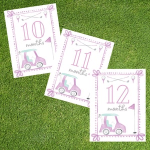 Digitaal - Baby mijlpaal afdrukbare kaarten. Roze golfmijlpaalkaarten. Maanden 10, 11, 12. Maandelijkse babyfoto. Thema/Vakantiemijlpaal.