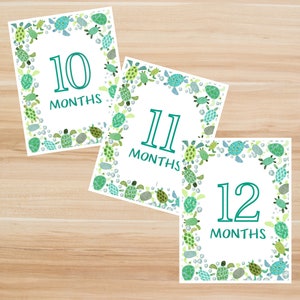 Numérique - Cartes imprimables Baby Milestone. Cartes d'étapes tortues. 10, 11, 12 mois. Cartes photo mensuelles pour bébé. Jalon thème/vacances.