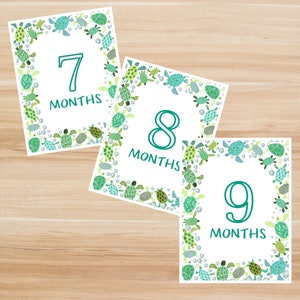 Numérique - Cartes imprimables Baby Milestone. Cartes d'étapes tortues. 7, 8, 9 mois. Cartes photo mensuelles pour bébé. Jalon thème/vacances.