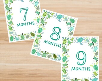 Digital - Baby Milestone Printable Cards. Turtle Milestone Cards. Months 7, 8, 9. Monthly Baby Photo Cards. Theme/Holiday Milestone.