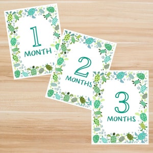 Numérique - Cartes imprimables Baby Milestone. Cartes d'étapes tortues. Mois 1,2,3. Cartes photo mensuelles pour bébé. Jalon thème/vacances.