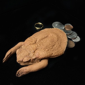 Echte Stock Kröte Geldbörse (mit Beinen und Reißverschluss) | Kuriositäten und Kuriositäten | Ausgestellter Frosch Tasche | Schräge Geschenke | Einzigartige Geschenke | Krötenleder