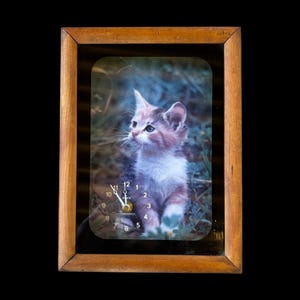 Puede incluir: Reloj de pared enmarcado con una imagen de gatito. La esfera del reloj tiene números y manecillas negras. El marco es de madera marrón claro. El gatito tiene pelaje blanco, rosa y gris, sobre un fondo de follaje verde.