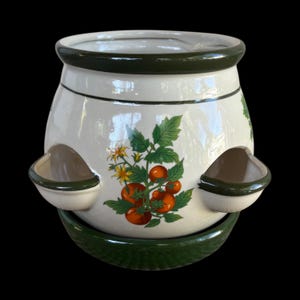May include: A cream-colored ceramic strawberry planter with a dark green rim and base. The pot features two side pockets and a central graphic of a tomato plant with green leaves, yellow flowers, and several ripe red tomatoes on the vine.