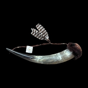 May include: A curved, polished horn with a dark tip and a fur-covered base. Two striped feathers are attached with a leather cord. A small tag is also attached to the horn.