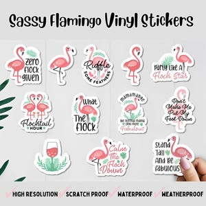 Sticker flamant rose impertinent. Sticker oiseau rose mignon en vinyle - ordinateur portable étanche, bouteille d'eau, album de coupures, autocollant pour agenda. Cadeau tropical drôle.