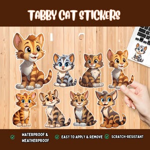 Tabby Cat Stickers | Cute Cat Decals | Cartoon Cat Sticker Pack | Waterproof Vinyl Stickers | Pet Lover Gift | Funny Cat Stickers