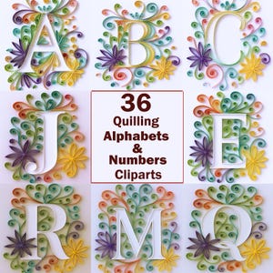 Alfabetos e clipart de números com penas, números com penas para impressão, download instantâneo, clipart com penas, alfabeto e números, arte generativa