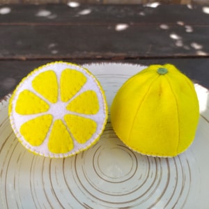 Felt half a lemon Felt vegetables Felt fruits