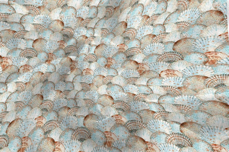 May include: A repeating pattern of stylized seashells in shades of white, tan, and light blue. The design has a textured appearance, with each shell overlapping the others, creating a dense, organic pattern.