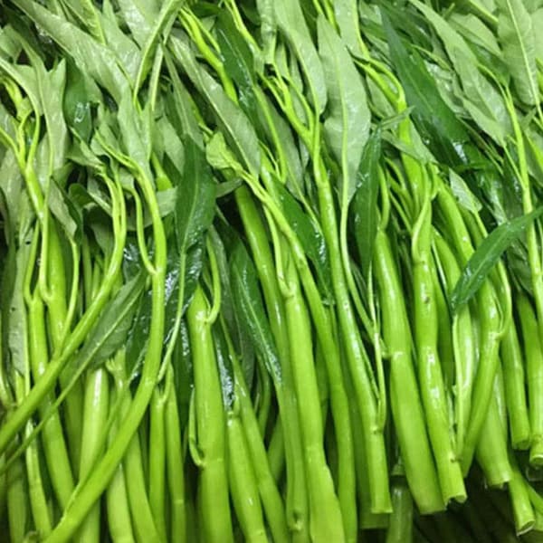 50+ Thai Water Spinach seeds Ong Choy Kangkong Kong Xin Cai Garden Vegetable USA
