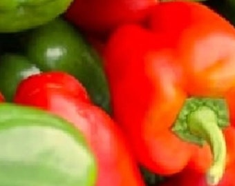 California Wonder Bell Pepper Seeds | NON-GMO | Heirloom | Fresh Garden Seeds (100 seeds)