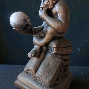 Darwin monkey skull - Etsy 日本