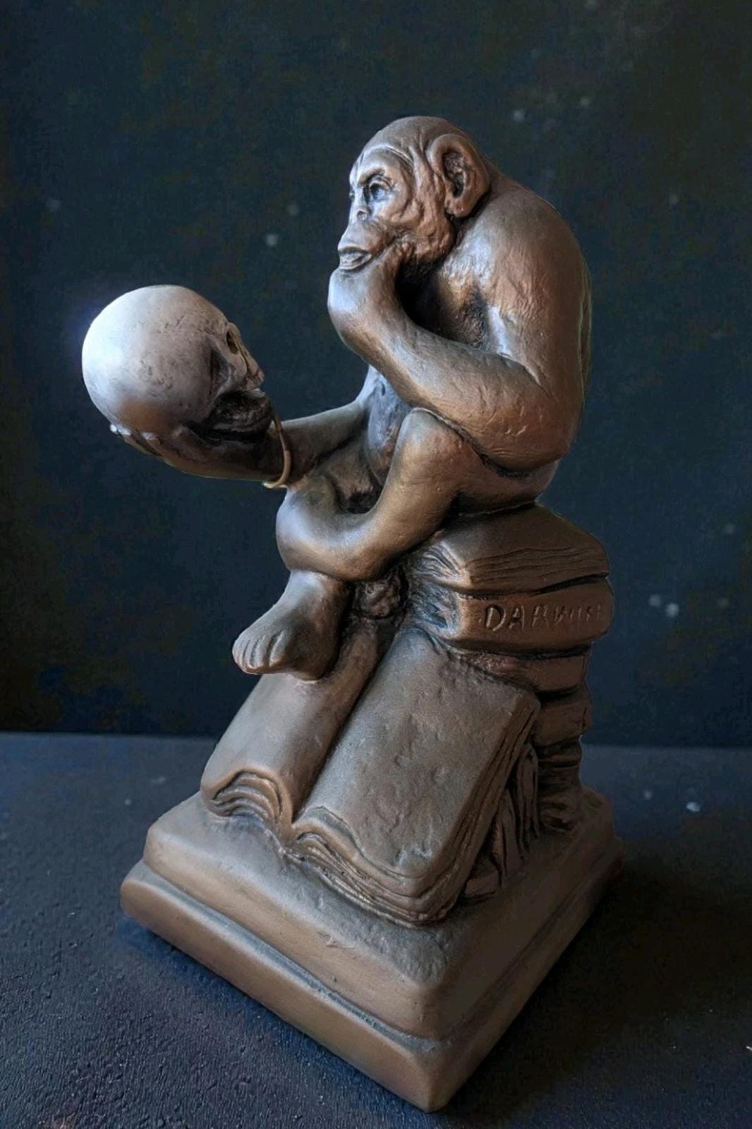 Darwin monkey skull - Etsy 日本