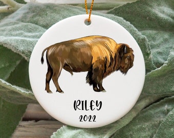 Personalized Buffalo Christmas Ornament, Custom Buffalo Gift Idea, Buffalo Ornament, Buffalo Present, Buffalo Christmas Tree Ornament N845