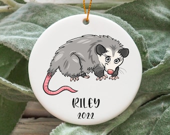 Personalized Opossum Christmas Ornament, Custom Opossum Gift Idea, Opossum Ornament, Opossum Present, Opossum Christmas Tree Ornament N878