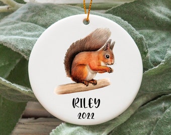 Personalized Squirrel Christmas Ornament, Custom Squirrel Gift Idea, Squirrel Ornament, Squirrel Christmas Tree Ornament N869