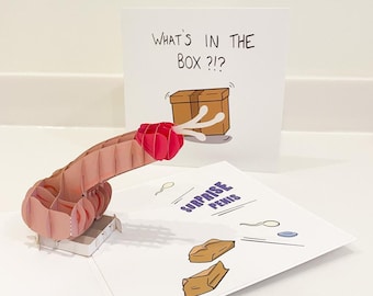 De pop-up-dickkaart &#39;Wat zit er in de doos&#39; - Hilarisch | NSFW | Grappig | Humor | Gag-cadeau | grap | Postgrappen | Pop-up