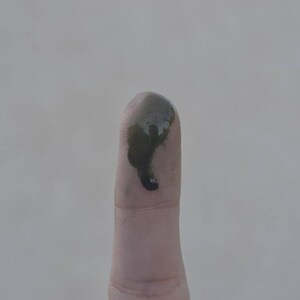 May include: A close-up of a finger with a dark green smudge on the tip.
